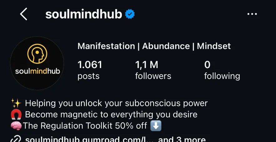 @soulmindhub theme page
