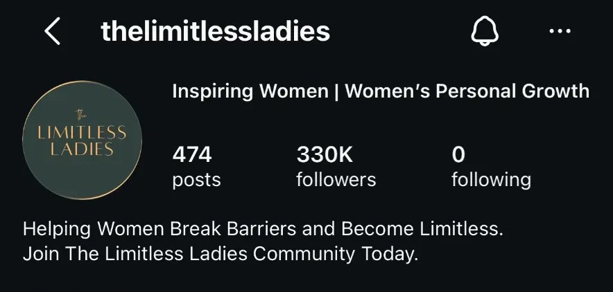 @thelimitlessladies theme page